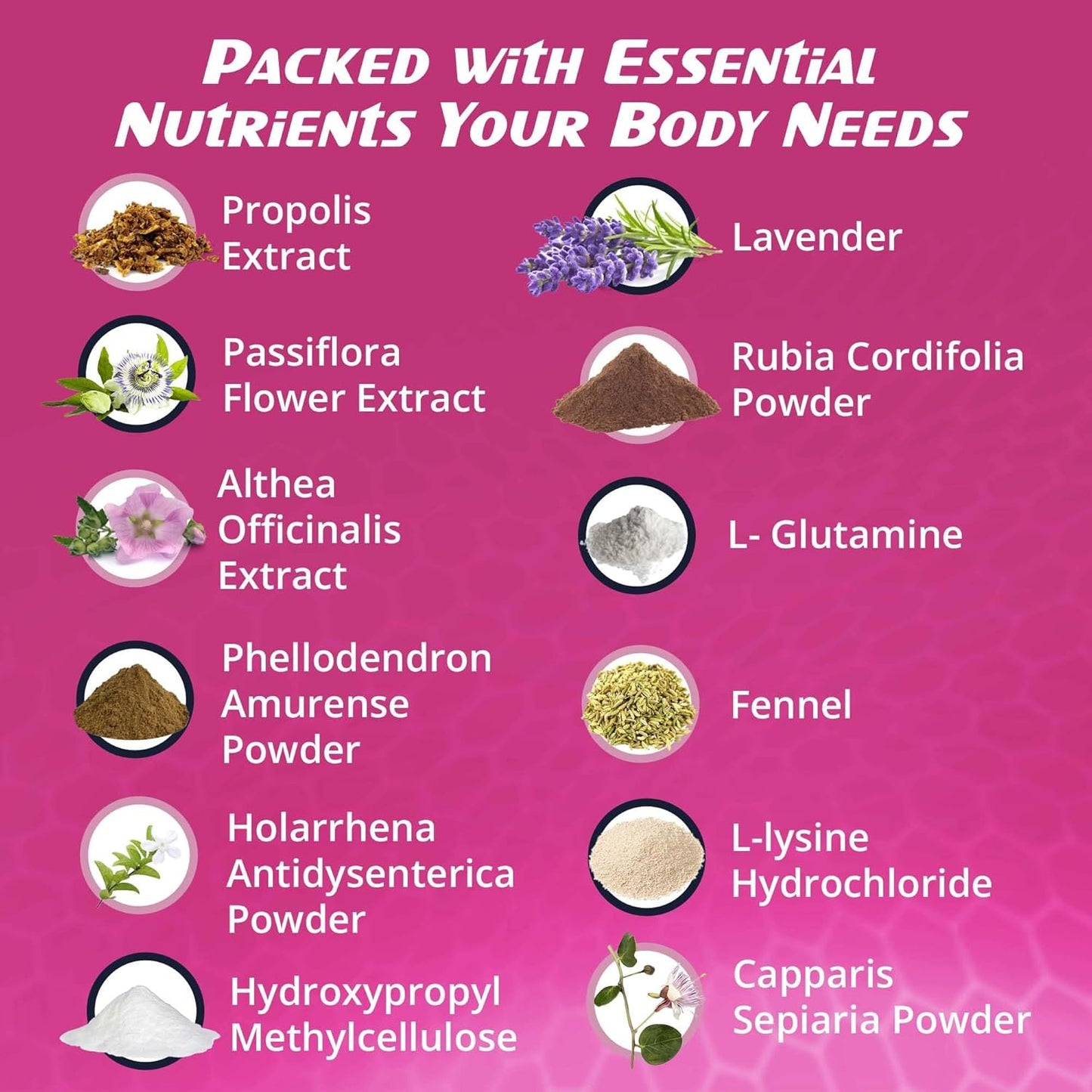 ImmunoTune Immune Support Booster, Immune Support Supplement for Bodily Resistance and Defense, All-Natural Formula to Fortify Immune Health and Overall Wellness (60 Count (Pack of 3))