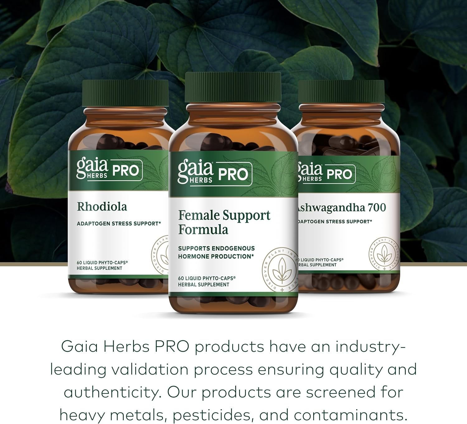 GAIA HERBS PRO Female Support Formula - Supports Healthy PMS & Menopause Fluctuations with Alfalfa Leaf, Black Cohosh Root Extract, Dandelion Root & More* - Vegan - 60 Liquid Phyto-Caps (60 Servings)