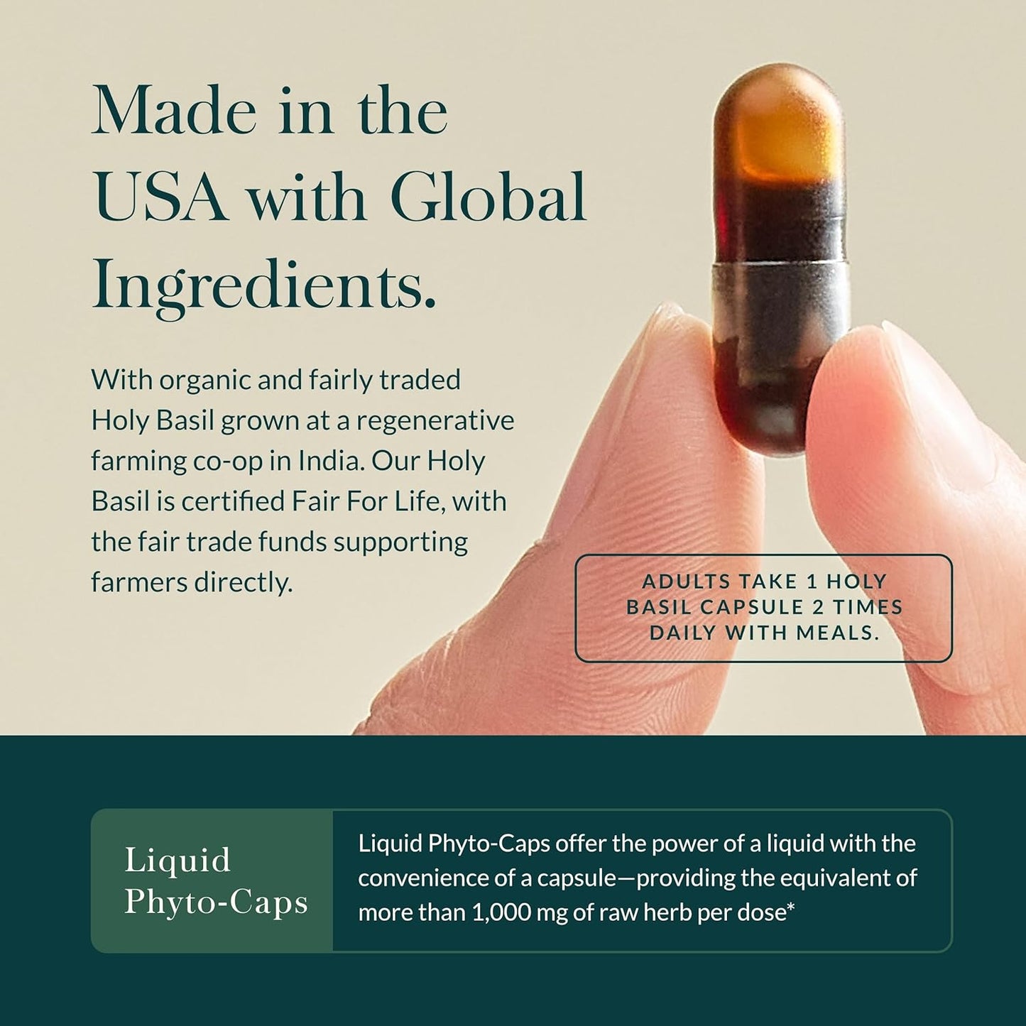 Gaia Herbs Holy Basil Leaf - Traditionally Used to Support Stress Response - Adaptogenic Ayurvedic Herb* - 120 Vegan Liquid Phyto-Capsules (60-Day Supply)