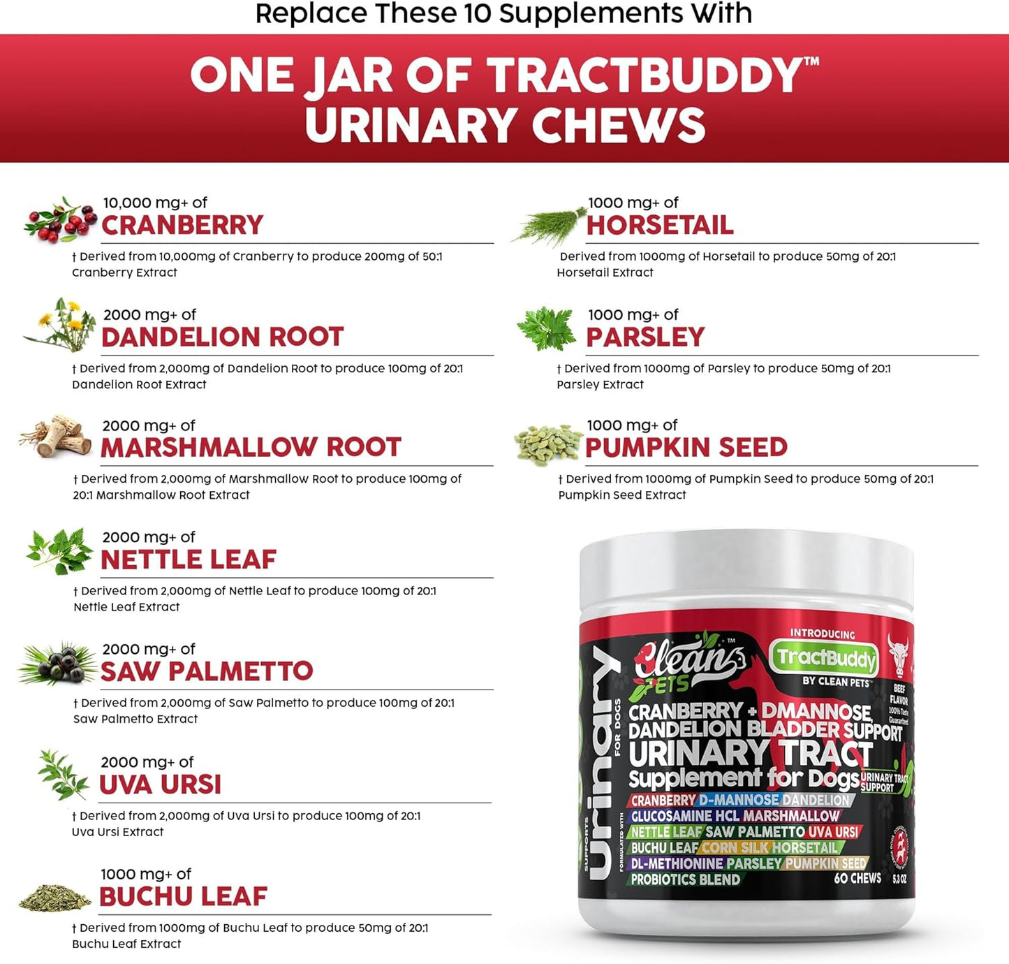 Cranberry for Dogs Urinary Tract Support | D-Mannose UTI Bladder Stones Dandelion Glucosamine HCL Marshmallow Nettle Leaf Saw Palmetto Uva Ursi Buchu Horsetail Methionine Parsley Supplement