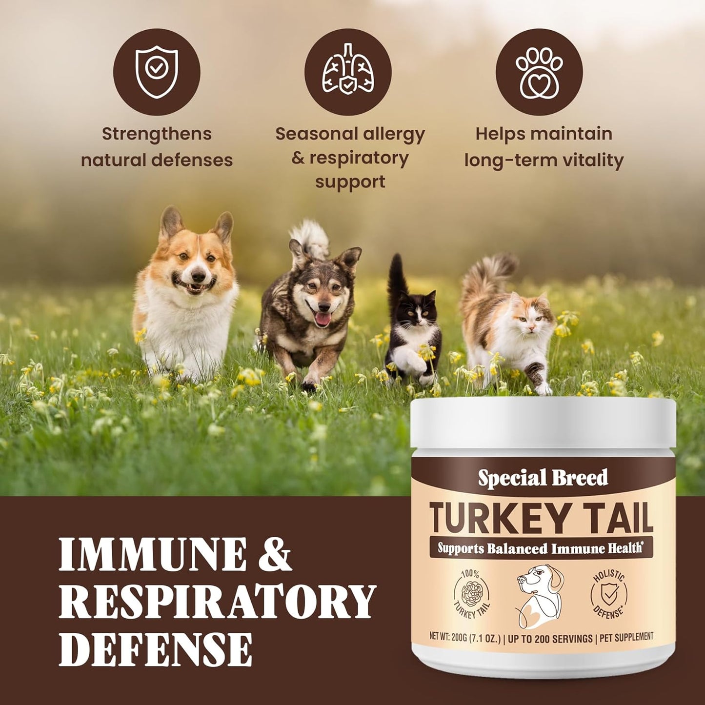 Turkey Tail Mushroom for Dogs - Organic Turkey Tail for Dogs Mushroom Powder for Respiratory, Immunity, Digestion - Lipoma Lumps and Bumps Supplement, No Fillers - 200 Grams