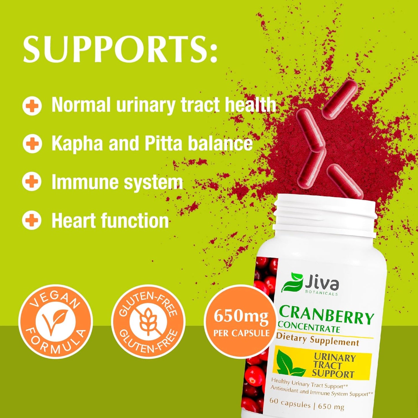 Jiva Botanicals Concentrated Cranberry Supplement - 650 mg Cranberry Powder Extract Pills for Women - High Potency for Normal Urinary Tract Health - 60 Capsules (Pack of 1)