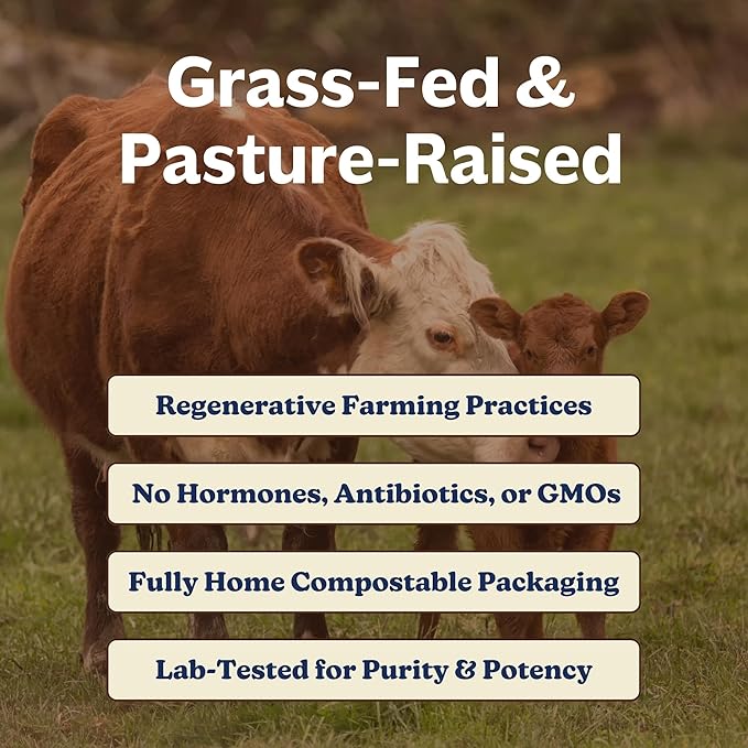 MK Supplements Collagen & Colostrum – Grass-Fed Collagen Peptides & Colostrum Powder for Hair, Nail, Skin, Bone & Joint Health, Chocolate Flavor + Monk Fruit