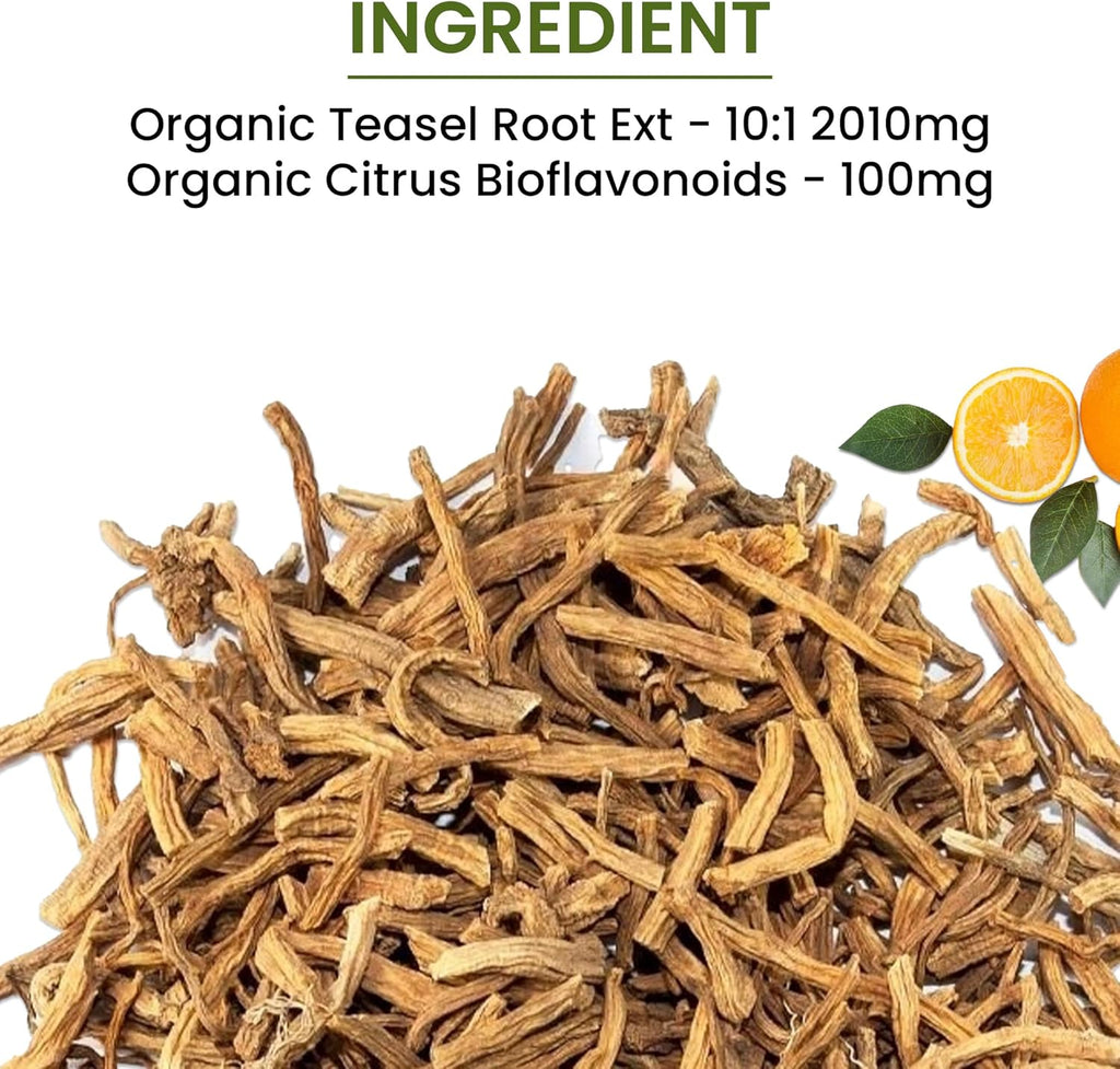 Green Organic Supplements' Lyme Disease, Teasel Root