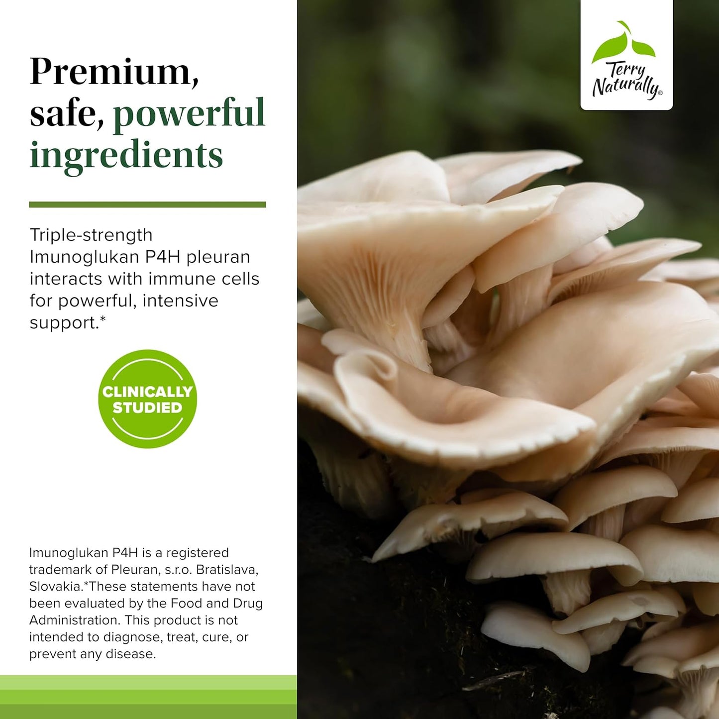 Terry Naturally PleuraMax Extra Strength - Upper Respiratory Health Supplement - Sourced from Oyster Mushrooms - Includes Vitamin C & Zinc for Immune Support - Vegan - 15 Capsules (15 Servings)