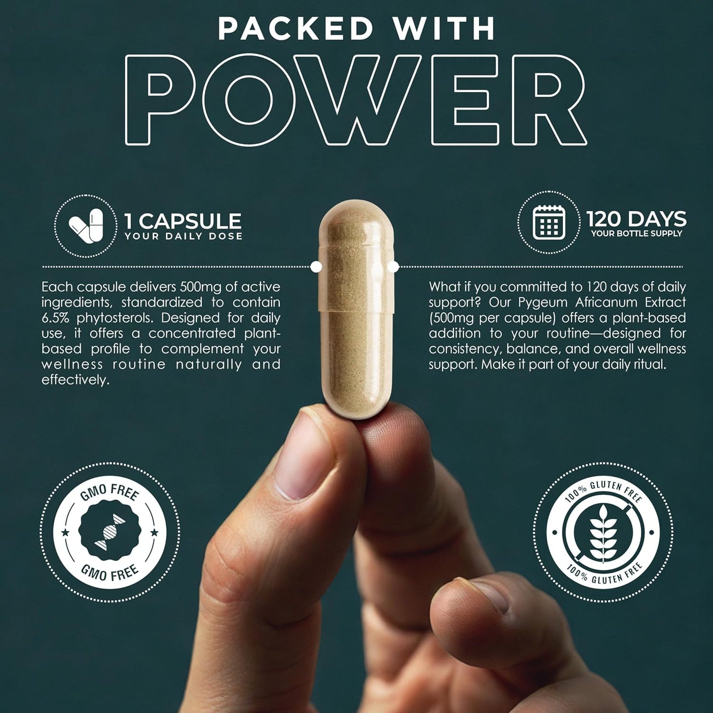 Pygeum Bark Extract 500mg 120 Capsules - Herbal Supplement Supports Prostate Health, Bladder, and Urinary Tract - Men's Health Supplement (Vegetarian, Non-GMO) 4 Months Supply