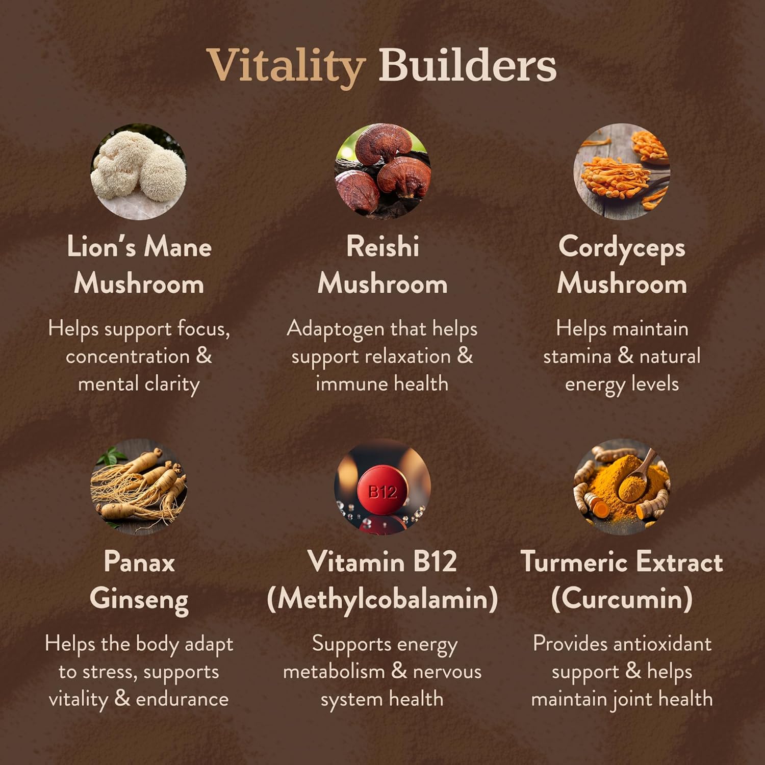 More. Longevity & Wellbeing Mushroom Coffee Superfood – 7 Functional Mushrooms with Lion’s Mane, Reishi, Chaga & Ashwagandha Extract, Instant Coffee Alternative with Prebiotics and Essential Vitamins for Focus & Energy, Mocha