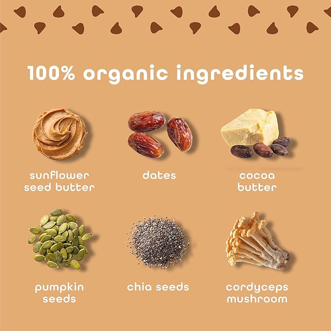 Feel Vegan Protein Bars, Balance, Cordyceps, 15g Protein, Adaptogenic Snack, Organic, Low Carb, Gluten Free, Dairy, Nut, Grain, Soy Free, Cookie Dough, 10 Pack