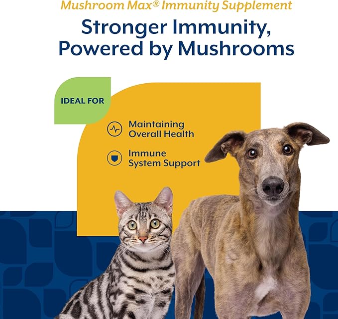 NaturVet Mushroom Max Advanced Immune Support Dog Supplement – Helps Strengthen Immunity, Overall Health for Dogs – Includes Shitake Mushrooms, Reishi, Turkey Tail – 60 Ct.