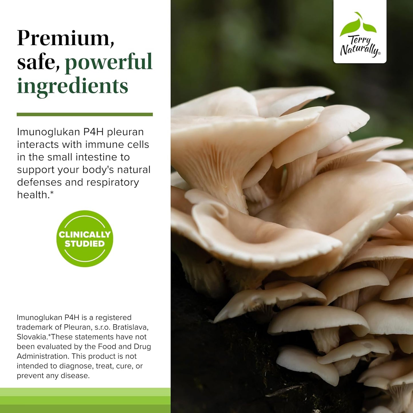 Terry Naturally PleuraMax - Upper Respiratory Health Supplement - Sourced from Oyster Mushrooms - Includes Vitamin C for Immune Support - Vegan & Non-GMO - 30 Capsules (30 Servings)