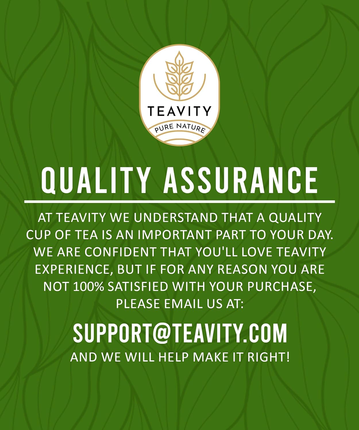 Organic Moringa Green Tea with Peppermint Tea Pods for Keurig - Naturally Caffeinated by Teavity (12 Tea Pods)