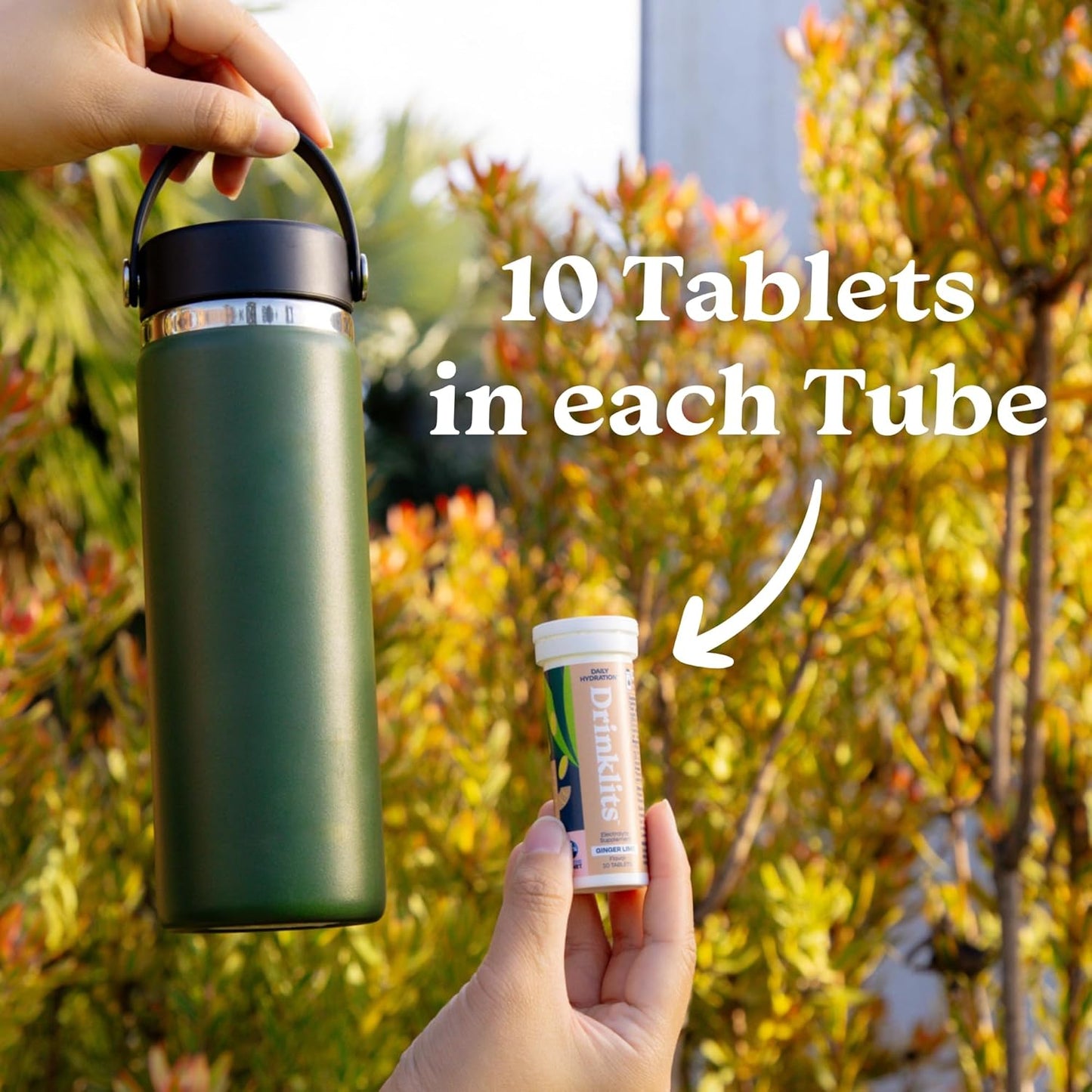 Drinklits Ginger Lime Electrolyte Fizzy Hydration Tablets (6) Tube Bundle | 0g Sugar - Natural Sports Drink - Organic Ginger | 60 Servings - 10 Tablets Per Tube