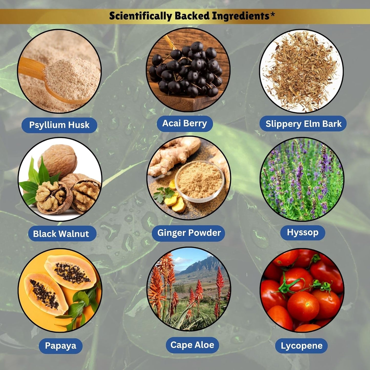 Trimara Max Maximum Strength Natural Dietary Supplement, 60 Capsules, All Natural Ingredients with Psyllium Powder, 30-Day Supply (5)