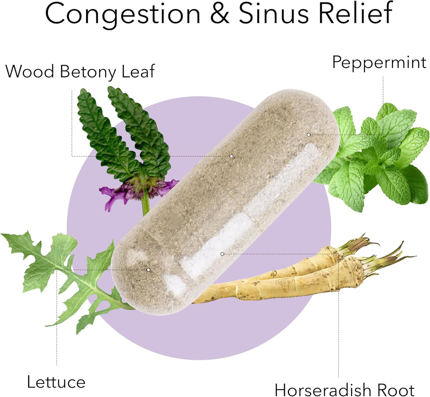 Kroeger Herb Products, Sinus Blend, All Natural Sinus Support for Adults, Congestion Relief and Sinus Pressure Relief, Blocks or Suppresses Histamin, Non-GMO, No Preservatives, Made in USA