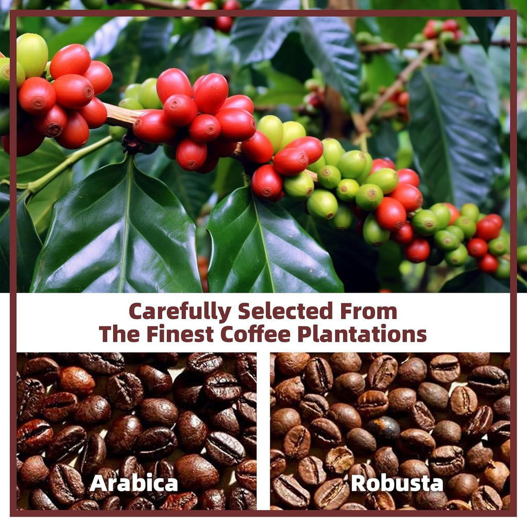 Mushroom Coffee Alternative Cappuccino Mix, Instant Superfood Coffee Drink with Reishi Mushroom Extract for Stress Relief, Immune Support, Smooth and Tasty, 11.1oz, 15 Count