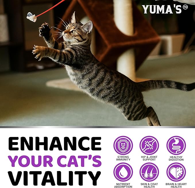 Cat Multivitamin Chews - Cat Vitamins and Supplements - Taurine & Lysine for Cats - Omega-3, Glucosamine, Cranberry - Skin & Coat, Hip & Joint Support - Immune Health, Skin, Heart, Digestion