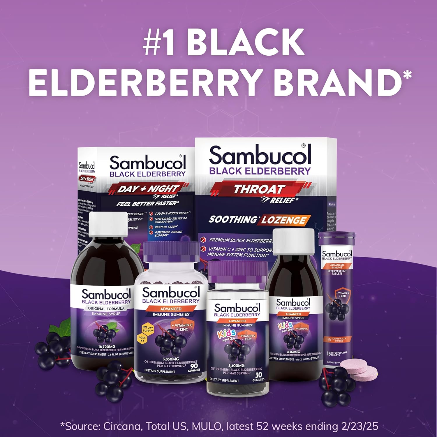Sambucol Black Elderberry Gummies - Elderberry with Zinc and Vitamin C for Adults, Sambucus Elderberry Gummies, Immune Support Gummies - 60 Count
