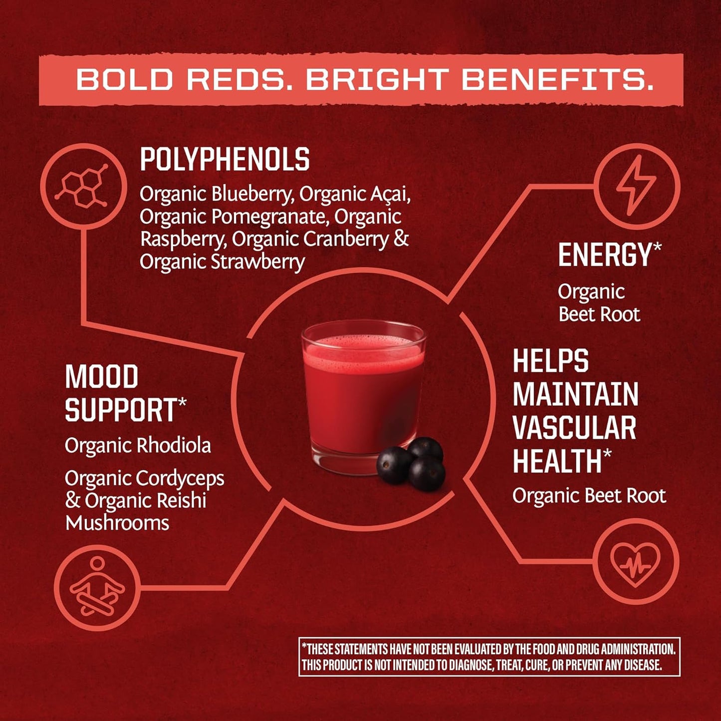 Organic Super Reds Powder 11 Superfoods with Beet Root, Berries, Reishi & Cordyceps – Natural Energy, Circulation & Immune Support – USDA Organic Vegan Non-GMO, Gluten-Free Superfood Drink 28 Servings