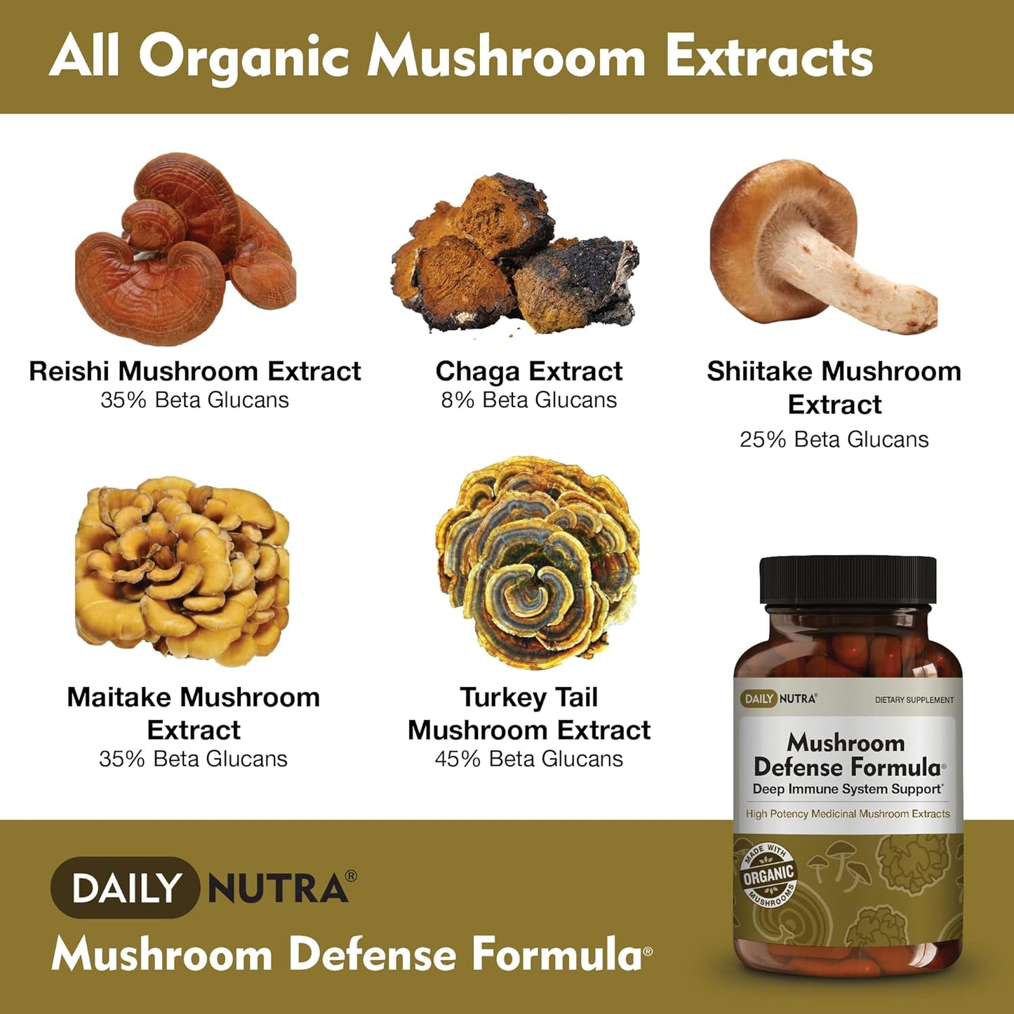 DailyNutra Mushroom Defense Formula - Immune Support Supplement | Organic Mushrooms, Hot Water Extracted - Reishi, Chaga, Maitake, Shiitake & Turkey Tail (60 Capsules)