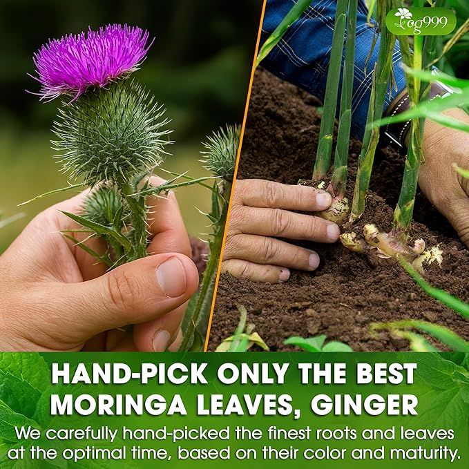 TOG999, Premium Stomach & Liver Herbal Tea – 60 Tea Bags – Milk Thistle Seed, Ginger, Fennel, Peppermint & Licorice – Caffeine-Free – Soothing & Refreshing Herbal Blend for Daily Enjoyment