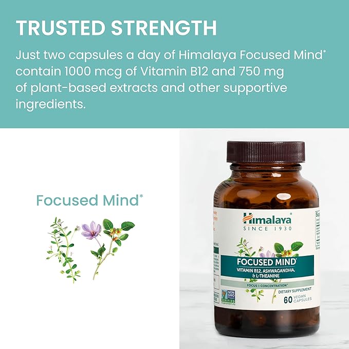 Himalaya Focused Mind Supplement, with Ashwagandha, Bacopa & L-Theanine for Attention, Focus and Energy Support, 60 Vegan Capsules, Gluten Free, 1 Month Supply