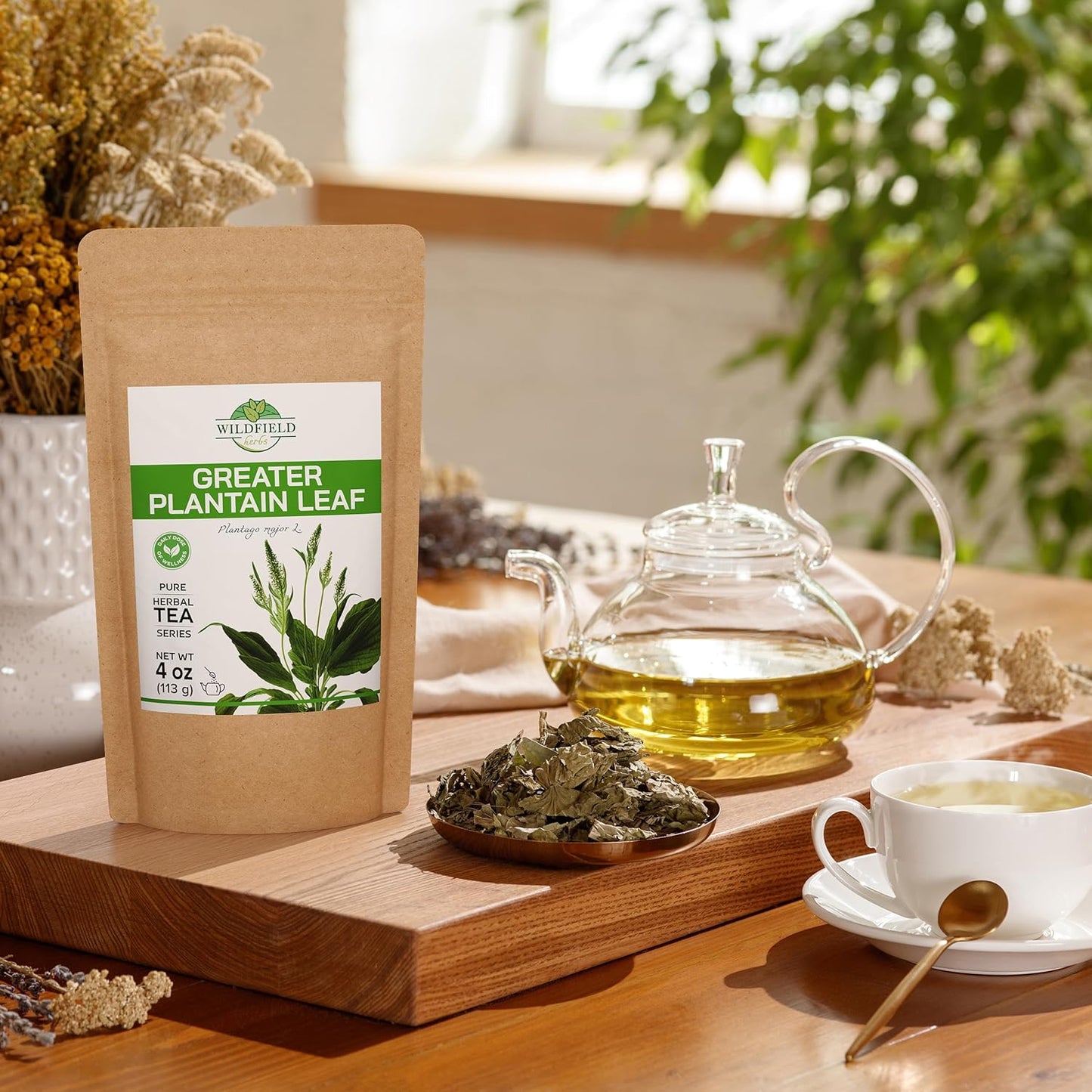 4 oz. Broadleaf Plantain Leaf Herb Tea Dried Plaintains Leaves (Plantago Majoris Folia) - 113g Greater Plantain Leaf Tea Llanten