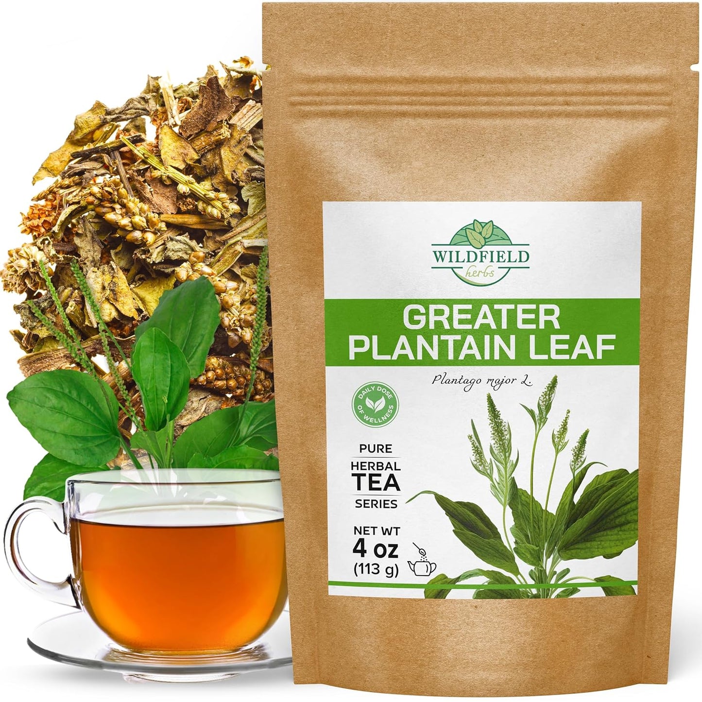 4 oz. Broadleaf Plantain Leaf Herb Tea Dried Plaintains Leaves (Plantago Majoris Folia) - 113g Greater Plantain Leaf Tea Llanten