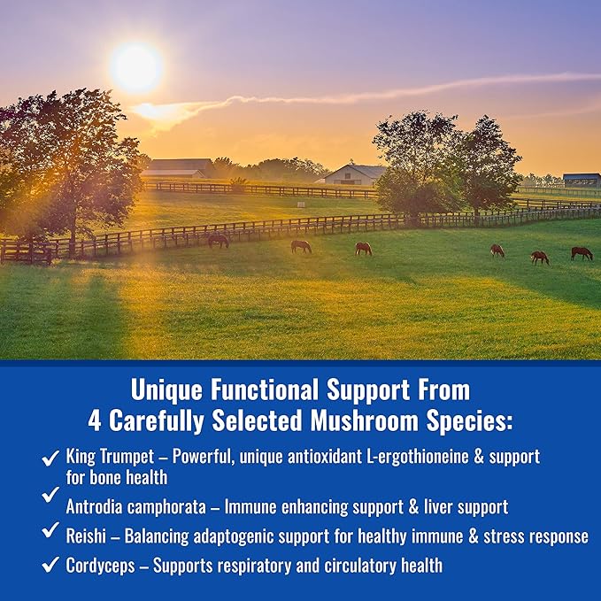 Om Mushroom Matrix - Equine | Wellbeing | USA Grown Human-Grade Organic Mushroom Powder Show Safe Horse Supplement | Wellness, Recovery, & Senior Support | 300 Grams, 10.5 oz