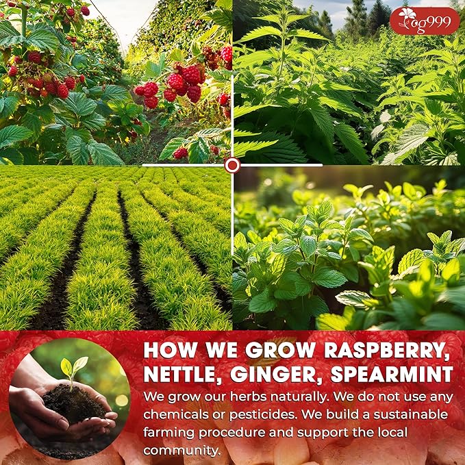 TOG999 Red Raspberry Leaves Tea Bags with Spearmint Flavor for Hormone Balance Natural Menstrual Cycle Support, 40 Count, Natural Material Tea Bags, No Sugar, No Caffeine, Vegan