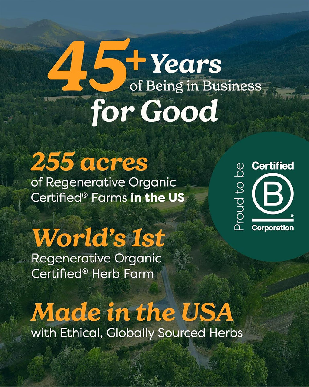 Herb Pharm Certified Organic Lemon Balm Liquid Extract for Calming Nervous System Support, Organic Cane Alcohol, 1 Ounce