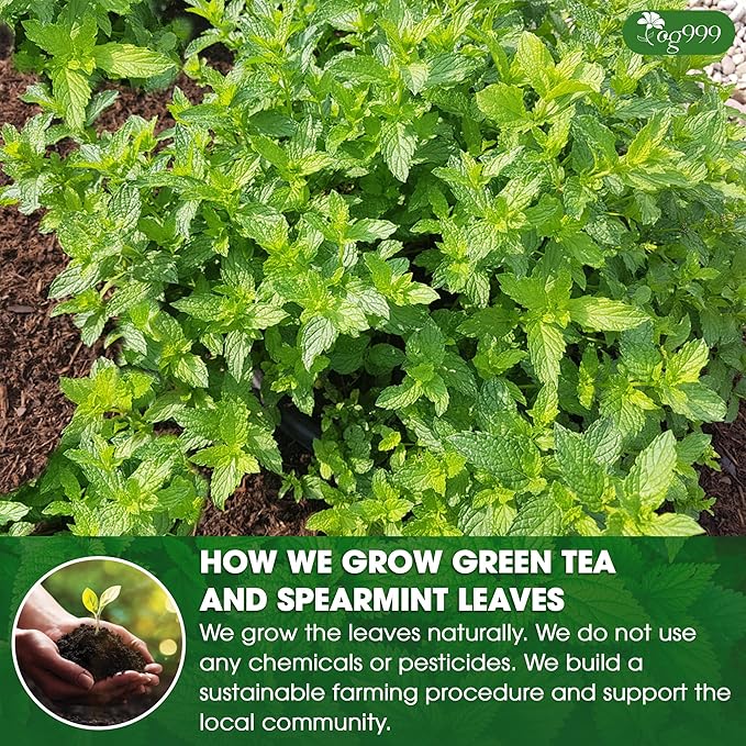 TOG999, Premium Moroccan Mint Green Tea | 60 Tea bags | Traditional Green Tea with Spearmint – Refreshing Flavor, Premium Quality Herbal Blend. Gluten-Free. Vegan